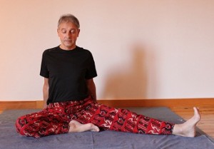 Janushirsasana, posture de la tête aux genoux : purifier Ida et Pingala  et/ou soulager les douleurs de dos par le yoga.. - Articles sur le Hatha  yoga et les formations proposées.