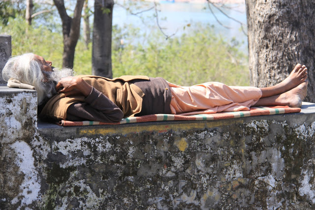 Le professeur.... de méditation !