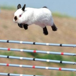 ILLUSIONS – LE MESSIE RECALCITRANT. Richard Bach