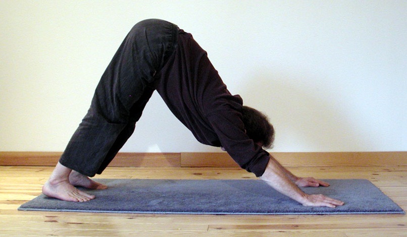 Le chien qui regarde vers le haut, le chien qui regarde vers le bas